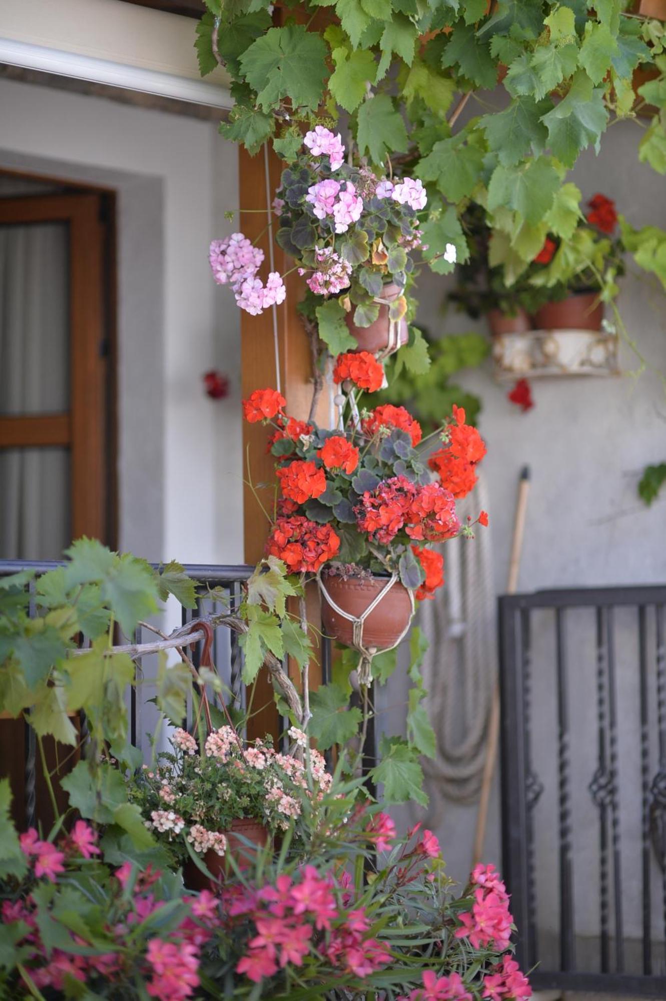 Apartment Prova